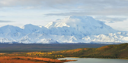 Denali National Park